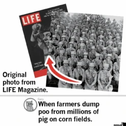 LIFE Magazine: Gas Mask Heavyweight 7 LIFE Magazine: Gas Mask Heavyweight -Raygunsite Store Screenshot2024 12 06at3.29.00PM c6c61fe1 63ba 4ae8 b91d 1b08bcc43a23