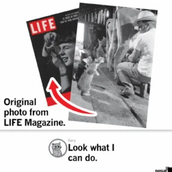 LIFE Magazine: Cats Drinking Milk -Raygunsite Store Screenshot2024 12 06at3.30.57PM