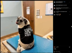 Dogs Are The New Kids Dog Shirt -Raygunsite Store Screenshot 2025 06 02 at 10.07.16 AM