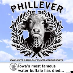 Phillever Pink 9 Phillever Pink -Raygunsite Store SocialRAYGUN 086c86ab a2e4 4aa4 b284 3d4bf8fd5a11