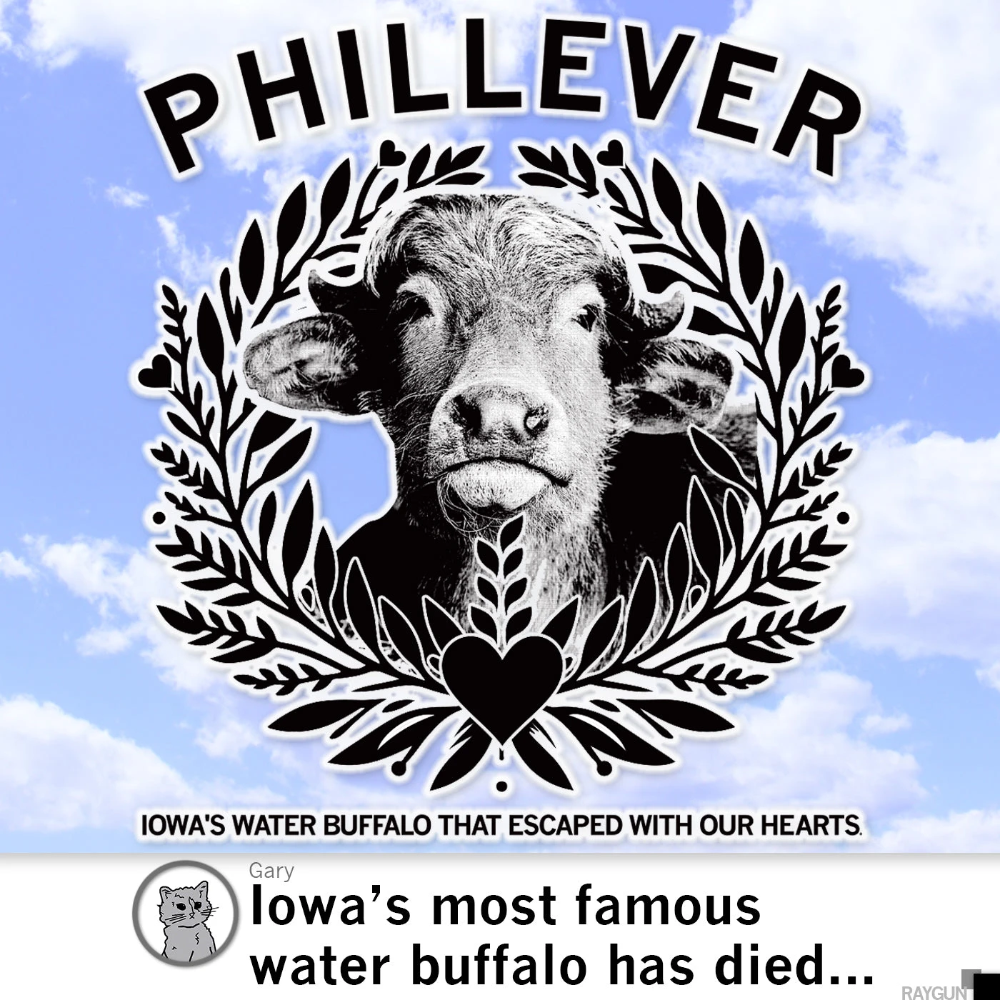 Phillever Pink 5 Phillever Pink - Image 3