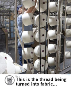 America Needs Unions Union Made 16 America Needs Unions Union Made -Raygunsite Store UnionMadeShirtSigns thread2 a646e850 3d33 4ec0 911a b1461714fe40