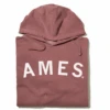 Ames Curved Logo Pullover Hoodie -Raygunsite Store ames curved hoodie folded