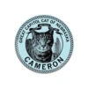 Cameron The Cat Button -Raygunsite Store camron the cat button db1c1ffc 940d 4cbb a881 859c2ef5711b