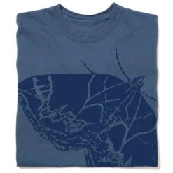 Dark Banded Geometer Moth Heavyweight