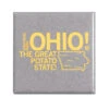 Ohio Metal Magnet -Raygunsite Store https erply.s3.amazonaws.com 291525 pictures 16990 5a31bd8d4281d6.61076801 ohio.metalmagnet