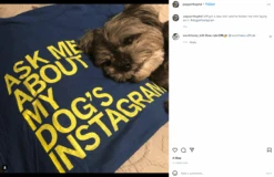 Ask Me About My Dog's Instagram -Raygunsite Store image 521d6818 e9c7 4ba6 9e0f 0d4a1e2c15b6