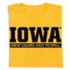 Iowa: Great Colors Easy To Spell Gold -Raygunsite Store iowa best colors yellow folded