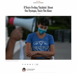 Get Your Own -Raygunsite Store nytimes