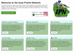 Midwestern Prairie Flowers -Raygunsite Store prairieflowerssocialmedia1