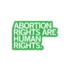 Abortion Rights Are Human Rights Green Die-Cut Sticker -Raygunsite Store raygun sticker abortion rights are human rights